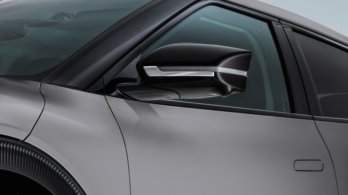 Verkleidung der Außenspiegel 